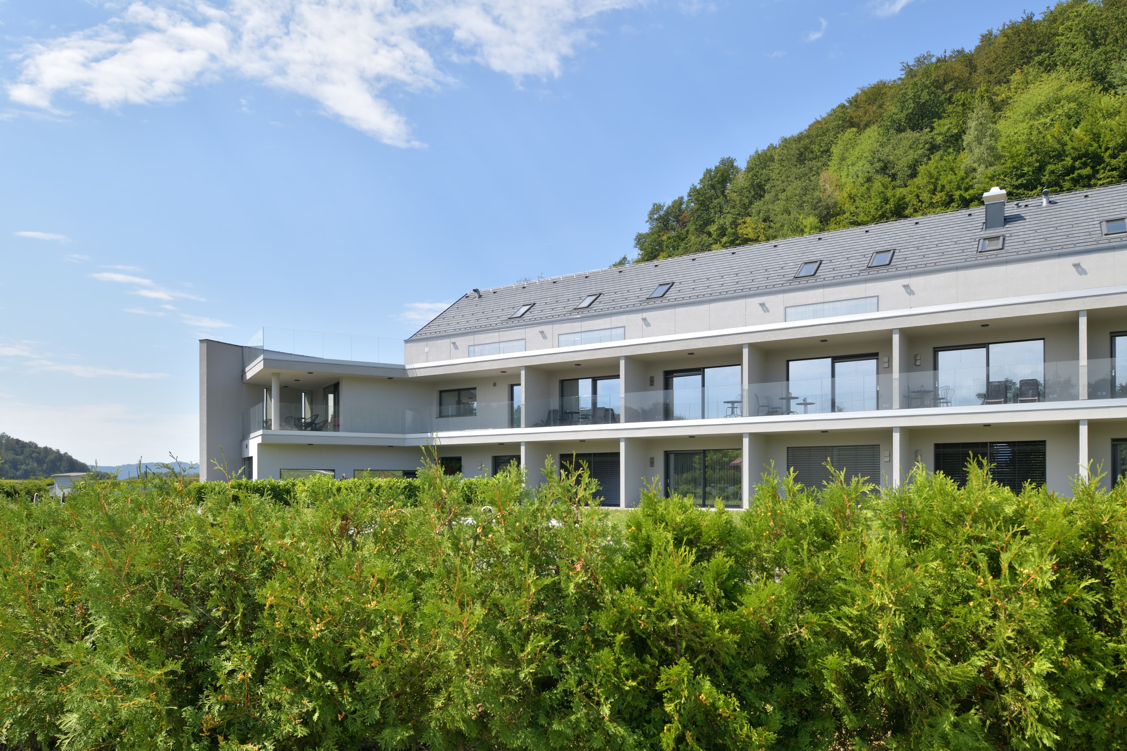 Villa Tatjana in Rogaška Slatina